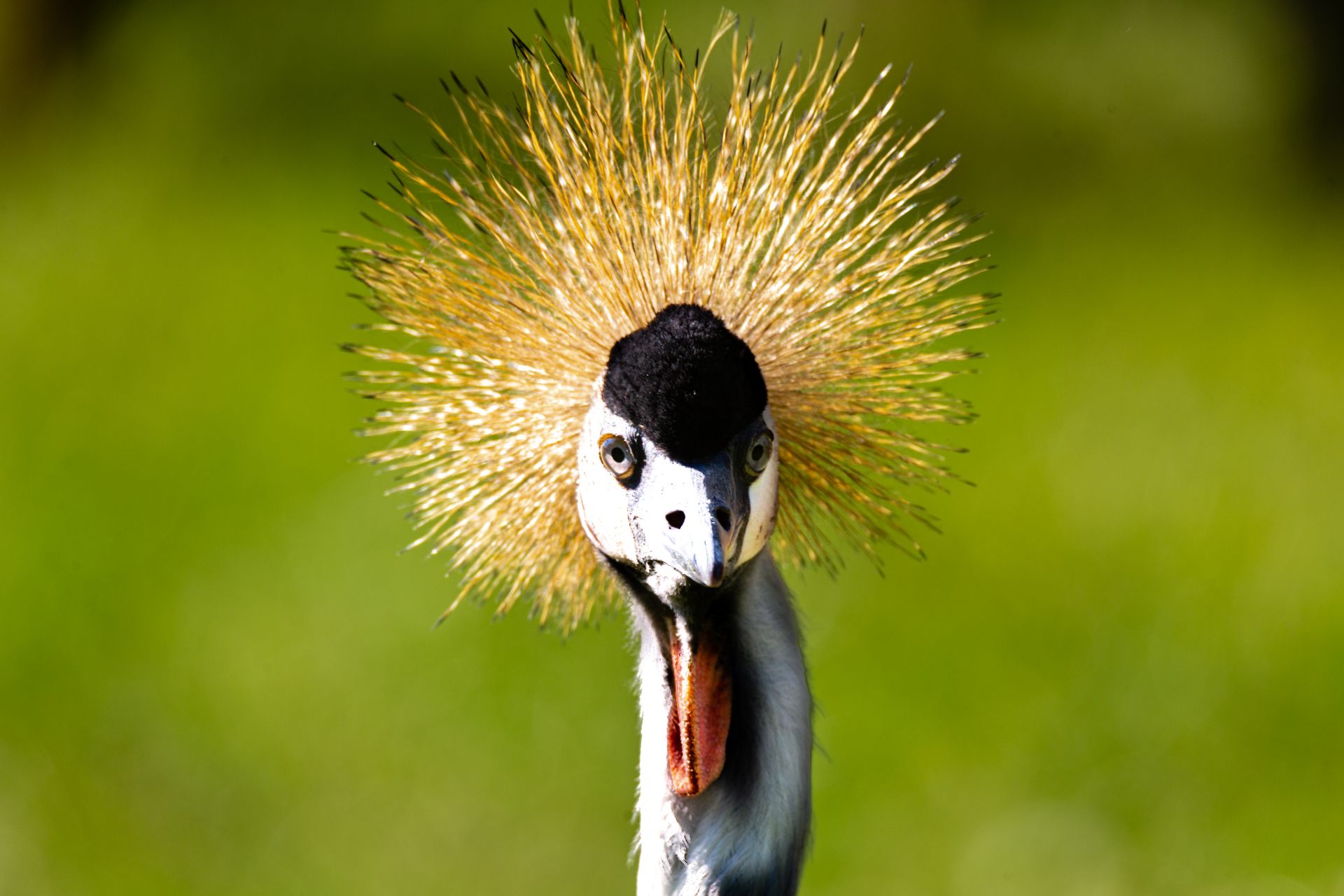 Kyala